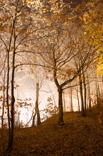Chemin de nuit