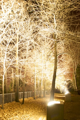 Chemin de lumières